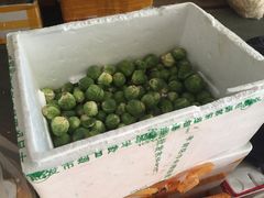 -北京新发地农产品批发市场-特菜交易厅