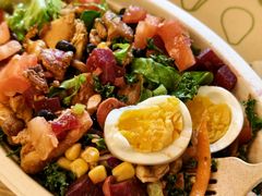 -油梨树AVOCADO TREE(顺义新国展店)