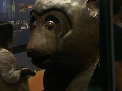 -广西壮族自治区博物馆