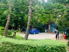 -广东惠东海龟国家级自然保护区
