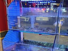 -饶福记·南昌烧烤大排档(九龙湖土著店)