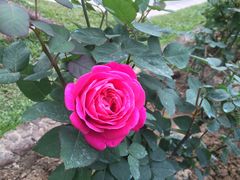 -人民公园(罗湖区)