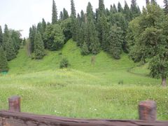 -新疆那拉提国家旅游度假区