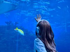 -海合安成都极地海洋公园