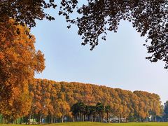 -河南省黄河迎宾馆