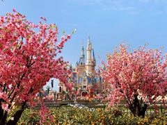 -上海迪士尼度假区