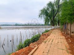 -庾园