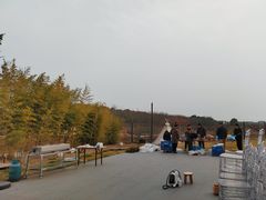 -影居starhoho·泳池别墅轰趴馆·天璇