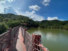 -广州白江湖森林公园