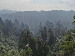 -唐师傅湘西名菜馆(武陵路店)