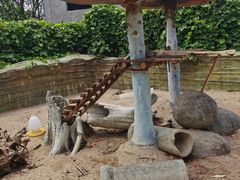 -泉州海丝野生动物世界