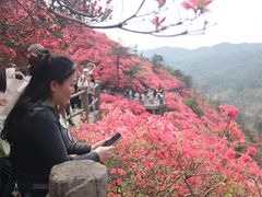 -木兰云雾山