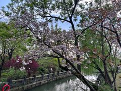 -广富林郊野公园