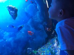 -芜湖新华联大白鲸海洋公园