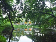 景观位-知味观·味庄(杨公堤店)