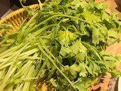 -巴奴毛肚火锅(龙湖锦艺城店)