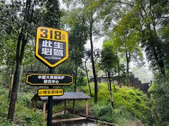-中国大熊猫保护研究中心雅安碧峰峡基地