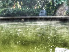 -郑州银基黄帝宫御温泉