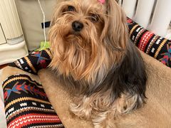 -酷宠动物医院(天通西苑店)