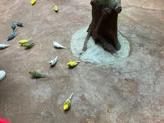 -正佳雨林生态植物园