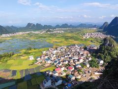 -会仙湿地