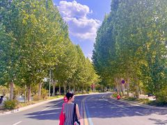 -南京金牛湖风景区