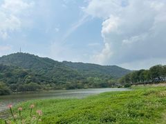 -风云岭森林公园