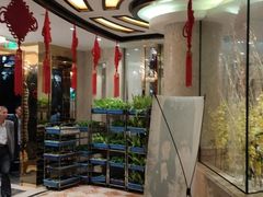 -小龙酒家(桂平路店)