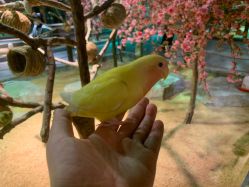 -酷嗒动物文化乐园(cutezoo西溪乐天城店)