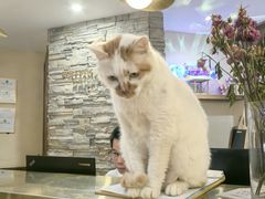 -威廉的太妃糖酒店(杭州西湖青芝坞店)
