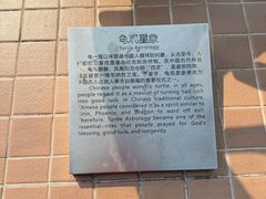 -广东惠东海龟国家级自然保护区