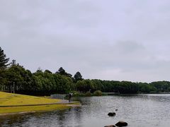 -美兰湖景区