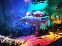 -沈阳海洋探索中心