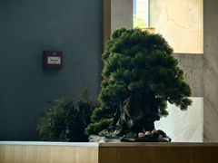 -如轩·海鲜砂锅粥·潮汕菜(南城店)