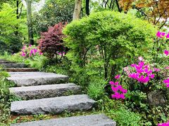 -中国茶叶博物馆(双峰馆区)