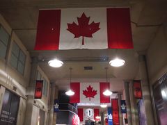 -丰业银行球馆(Scotiabank Arena)