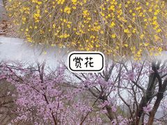 -北京周口店北京人遗址博物馆