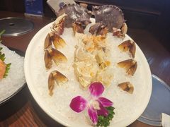 -东海怡品海鲜豆捞(舟宿夜江店)