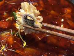 -重庆乌鱼庄·龙滋鲜(青羊大道店)