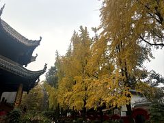 -青羊宫