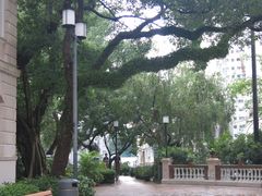 -香港大学