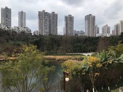-重庆彩云湖湿地公园