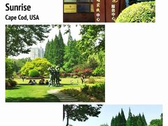 -中山公园