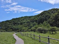 -灵宝峡旅游区