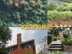 -上海瑞金洲际酒店
