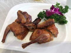 红烧乳鸽-小榄公饭店·岭南庭院餐厅(民安北路店)