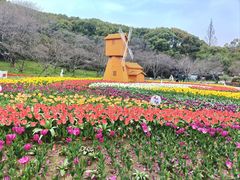 -苏州上方山国家森林公园
