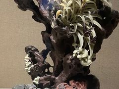 -浙江省博物馆(孤山馆区)
