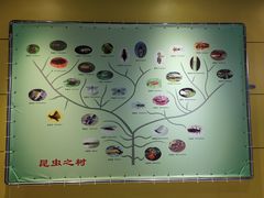 -上海昆虫博物馆