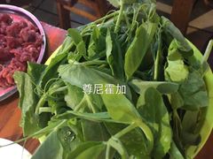 豌豆尖-陈记泸州酸菜豆花火锅(建设路店)